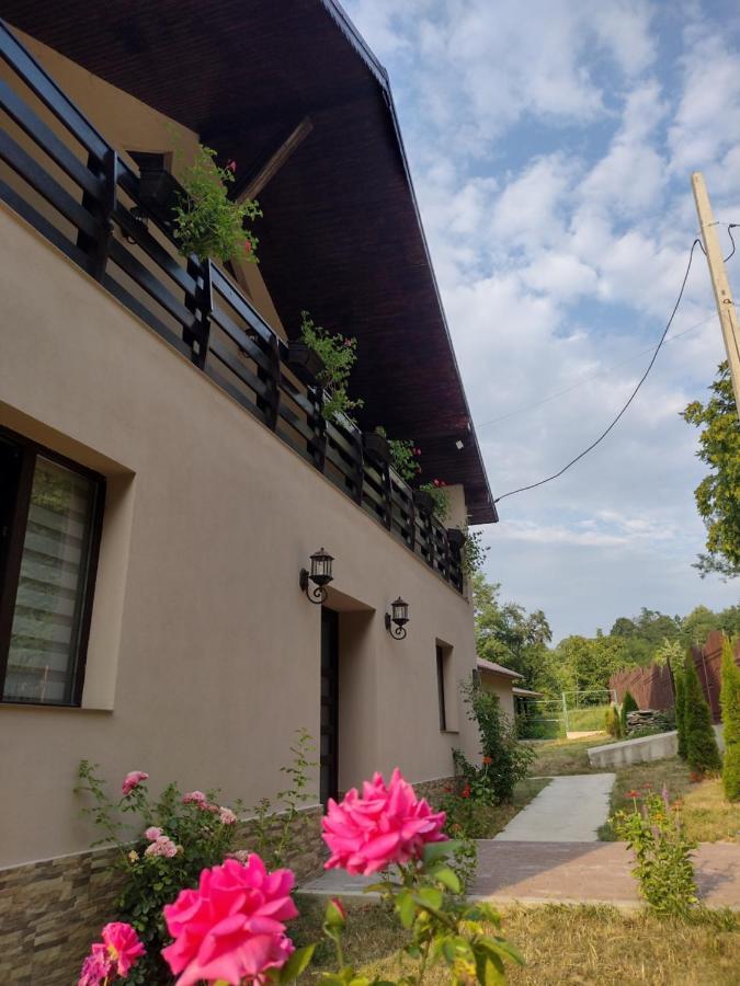 Casa Radu Apartment Novaci-Straini Ngoại thất bức ảnh