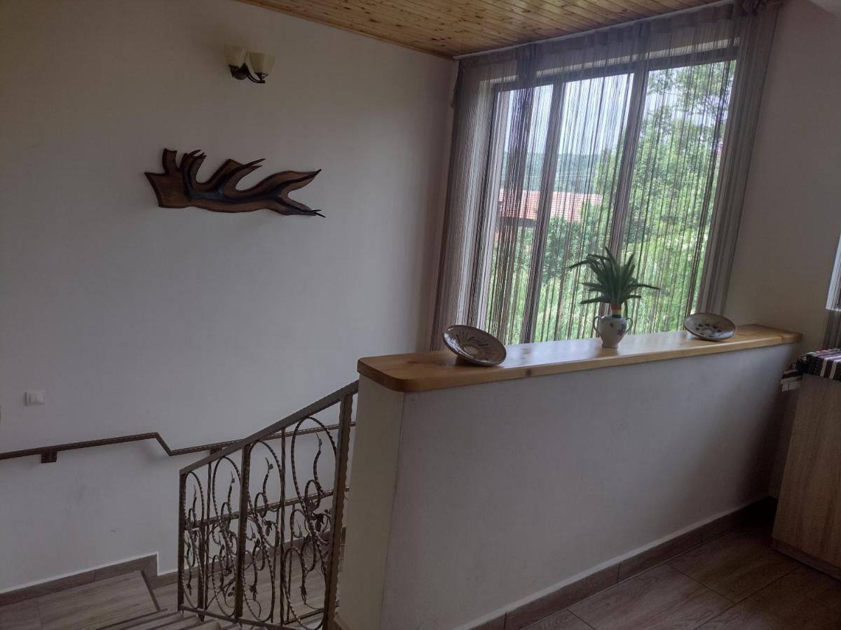 Casa Radu Apartment Novaci-Straini Ngoại thất bức ảnh