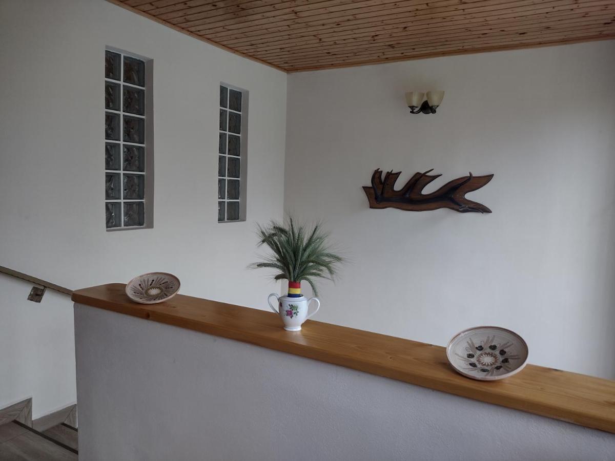 Casa Radu Apartment Novaci-Straini Ngoại thất bức ảnh