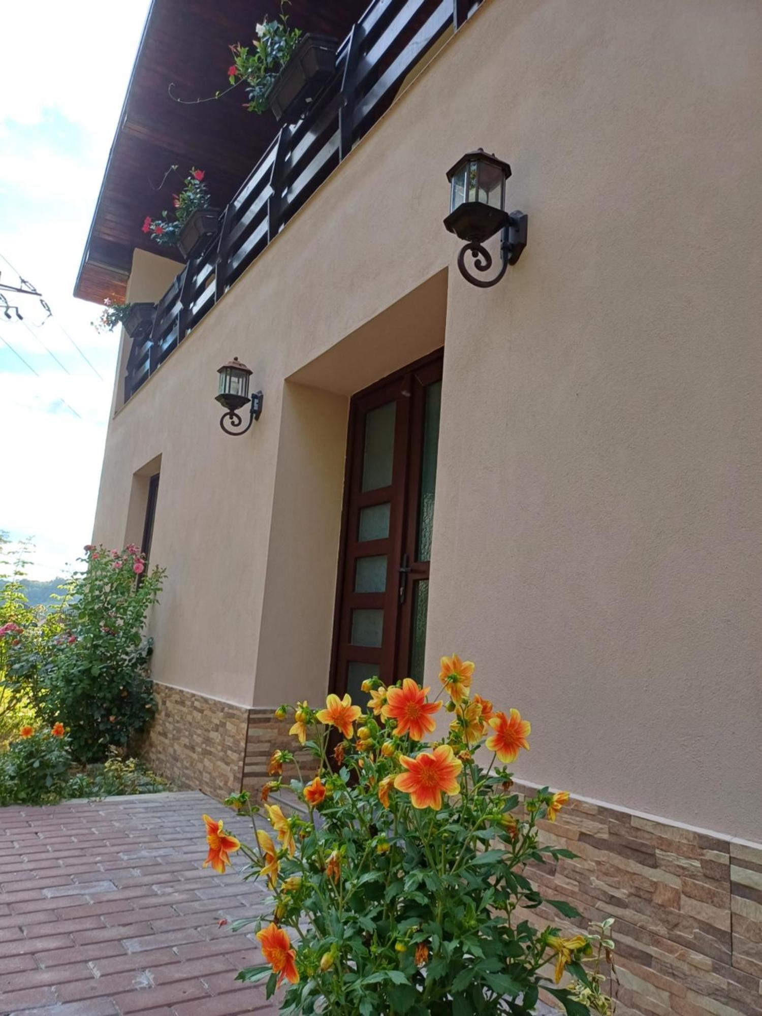 Casa Radu Apartment Novaci-Straini Ngoại thất bức ảnh