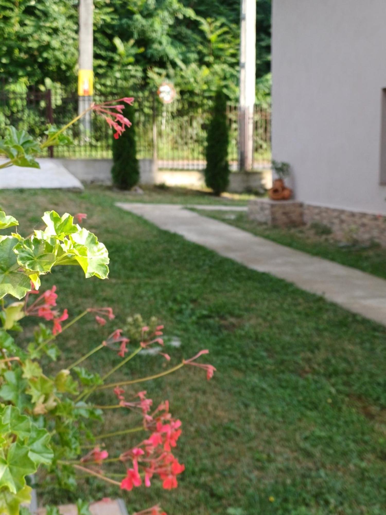 Casa Radu Apartment Novaci-Straini Ngoại thất bức ảnh