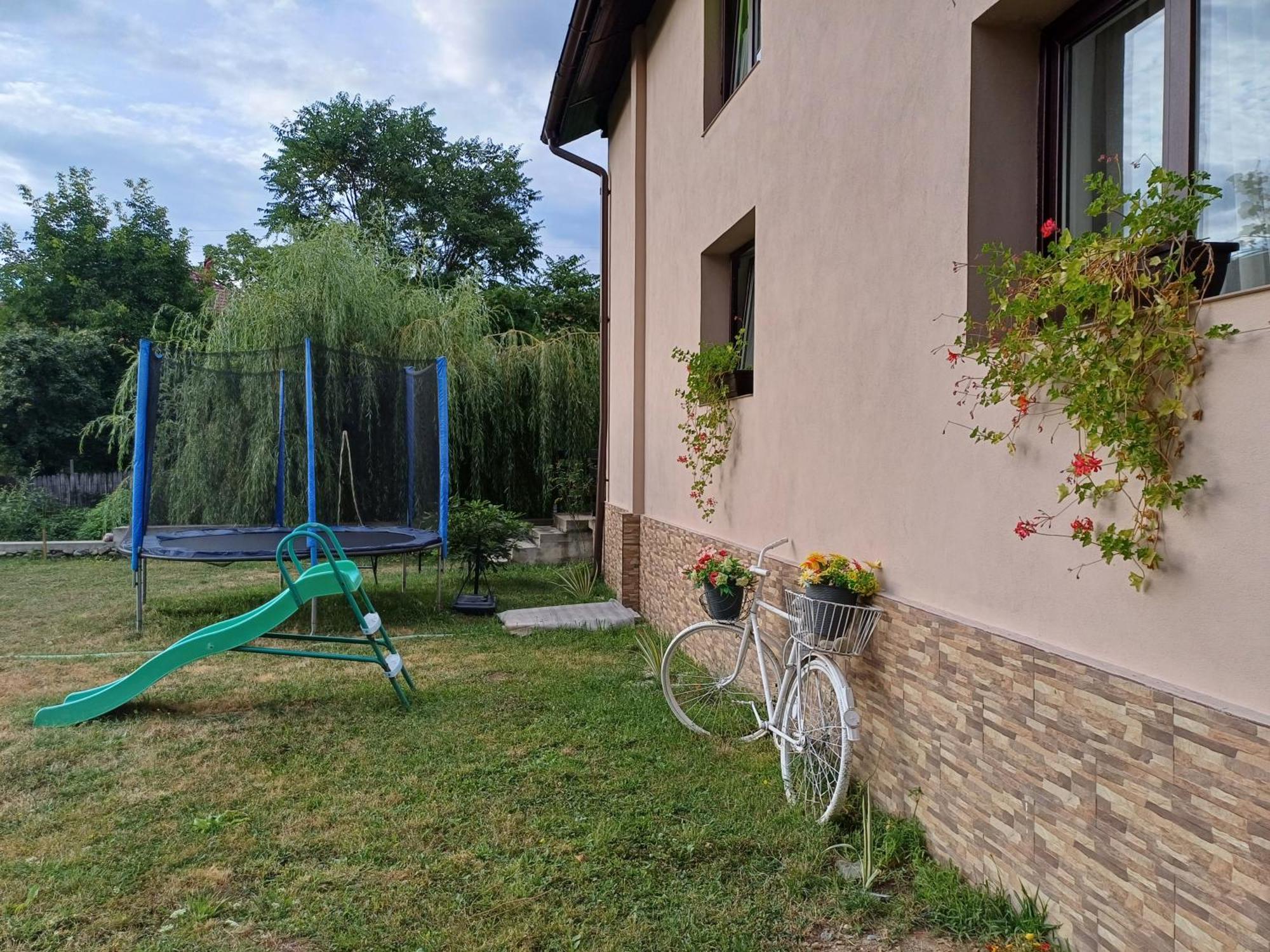 Casa Radu Apartment Novaci-Straini Ngoại thất bức ảnh